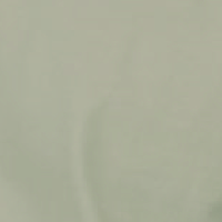 洗杏